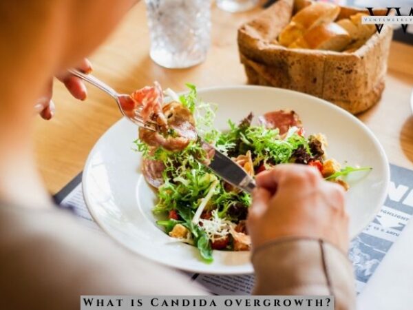 Guide to Candida Dieetti
