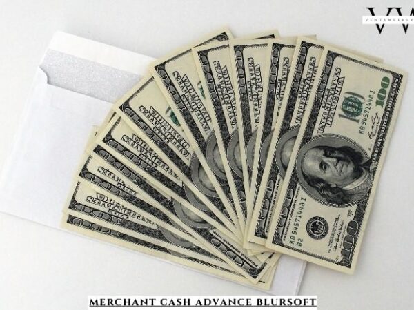 Merchant Cash Advance Blursoft Complete Details
